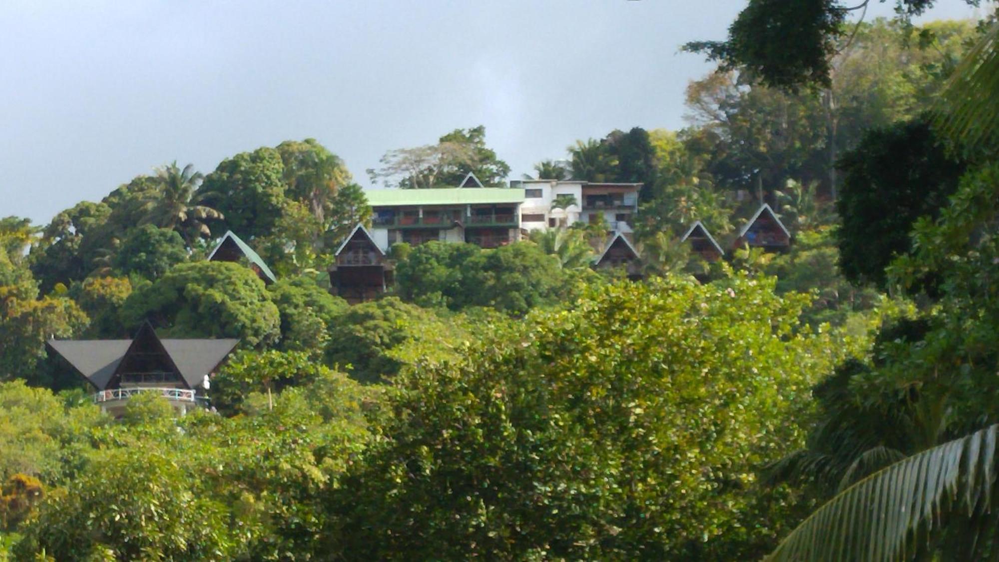 Mango Lodge Anse Volbert Village Kültér fotó